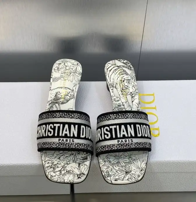 hype Christian Dior Slippers