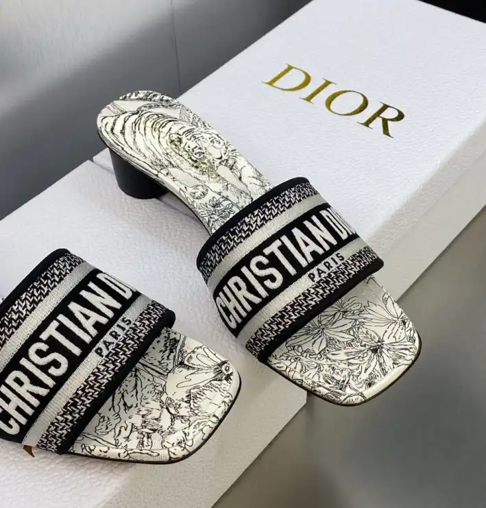 hype Christian Dior Slippers