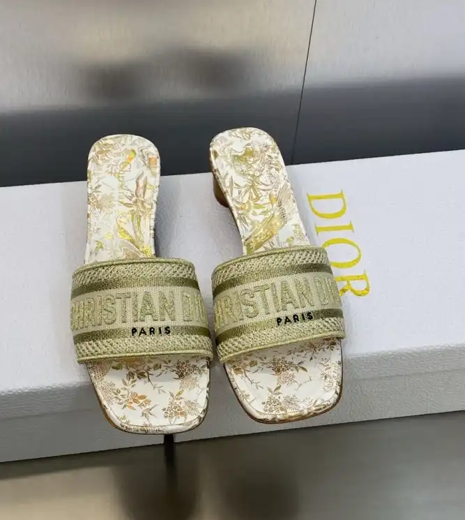 hype Christian Dior Slippers