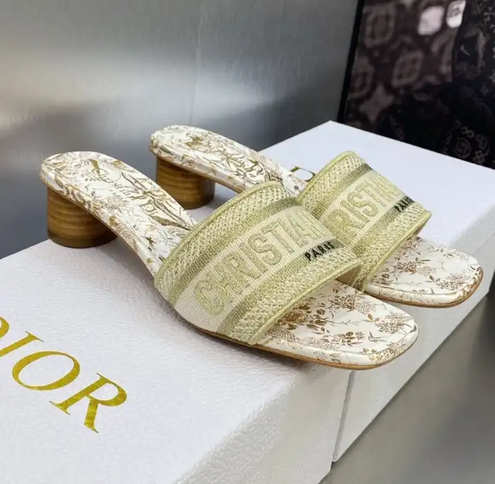 hype Christian Dior Slippers