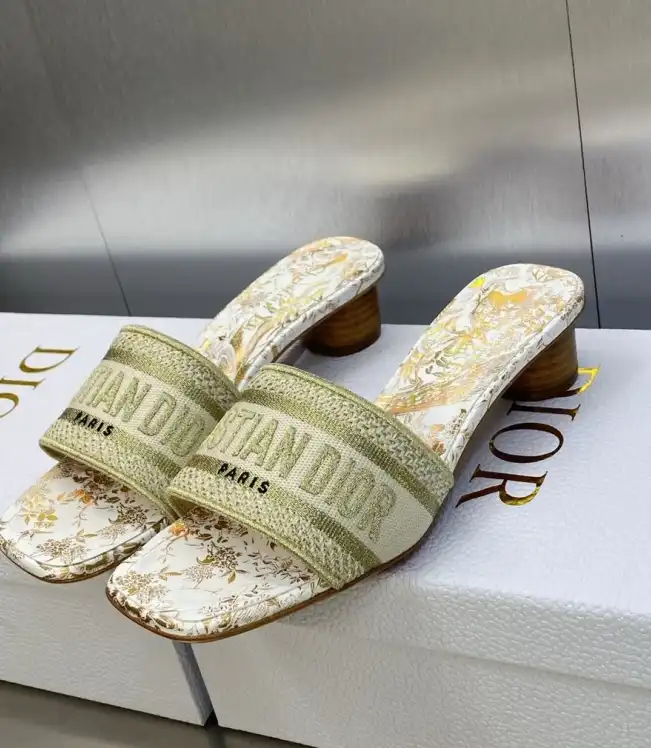 hype Christian Dior Slippers