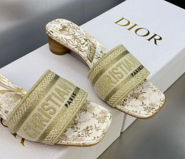 hype Christian Dior Slippers