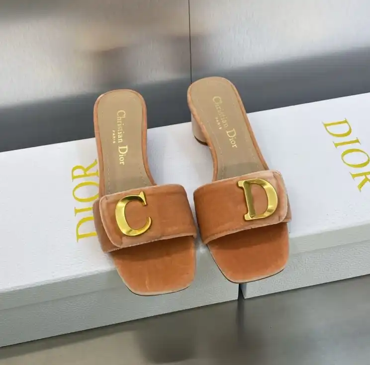 hype Christian Dior Slippers