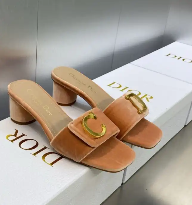 hype Christian Dior Slippers