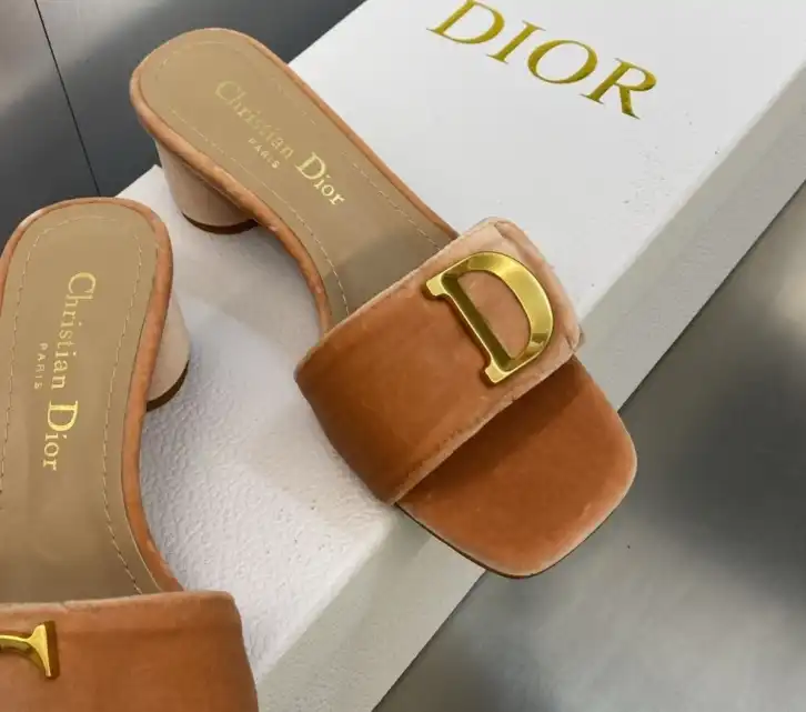 hype Christian Dior Slippers