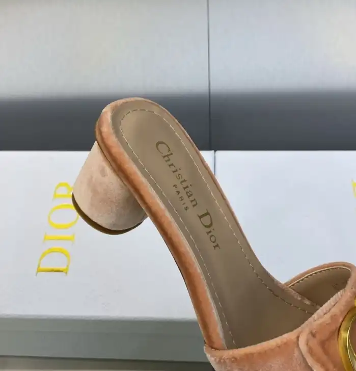 hype Christian Dior Slippers