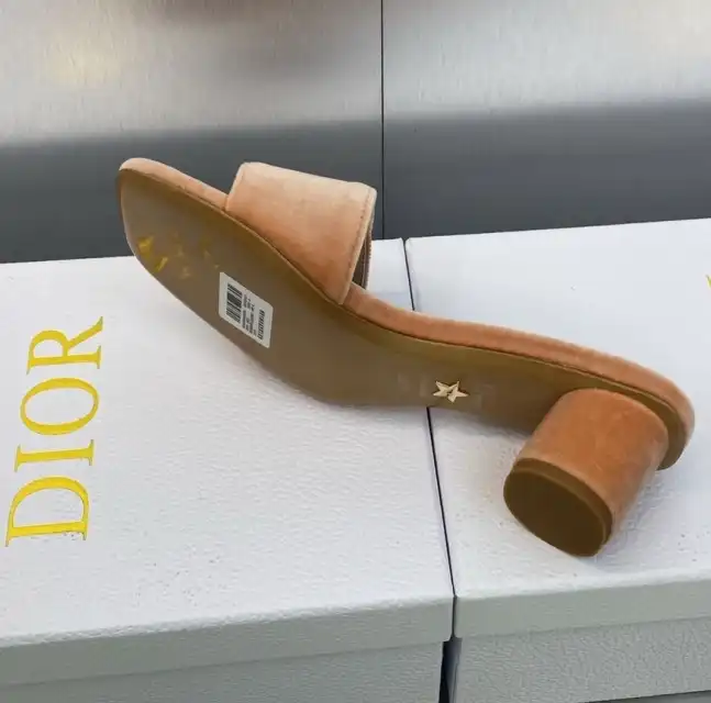 hype Christian Dior Slippers