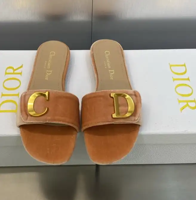 hype Christian Dior Slippers