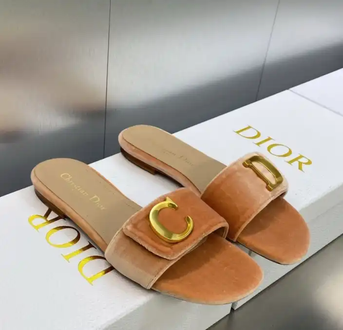 hype Christian Dior Slippers