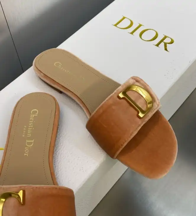 hype Christian Dior Slippers