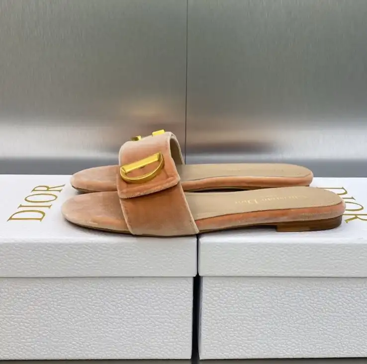 hype Christian Dior Slippers