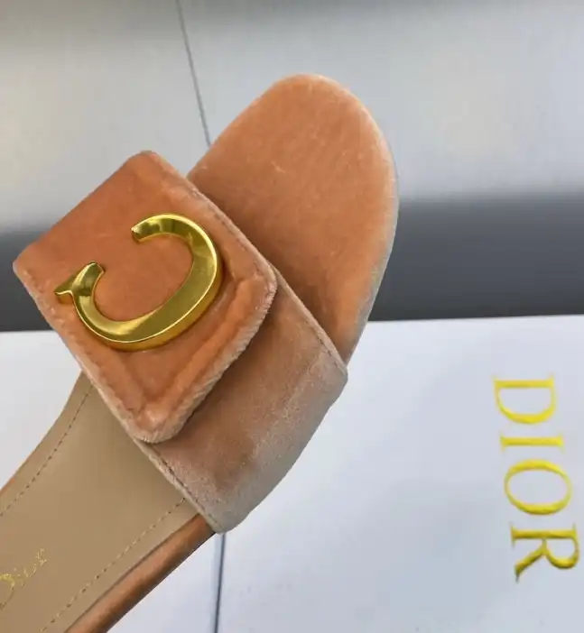 hype Christian Dior Slippers