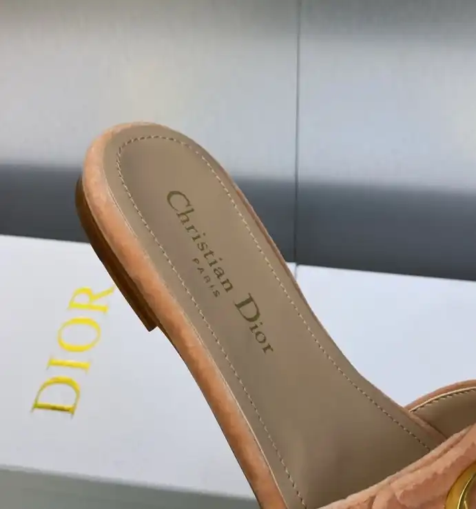 hype Christian Dior Slippers