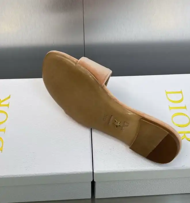 hype Christian Dior Slippers