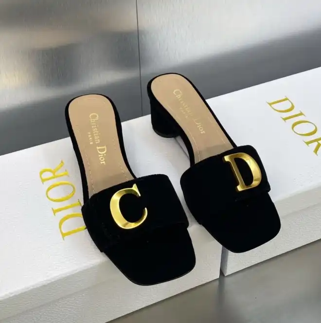 hype Christian Dior Slippers