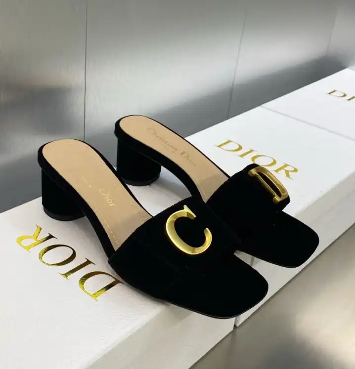 hype Christian Dior Slippers