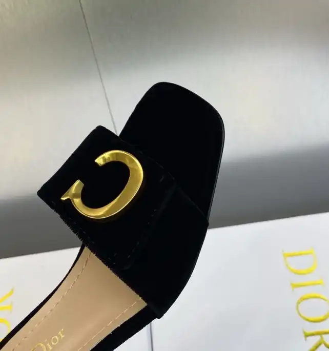 hype Christian Dior Slippers