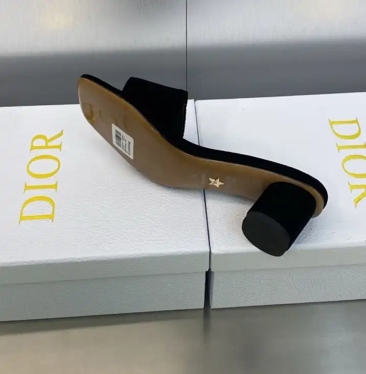 hype Christian Dior Slippers