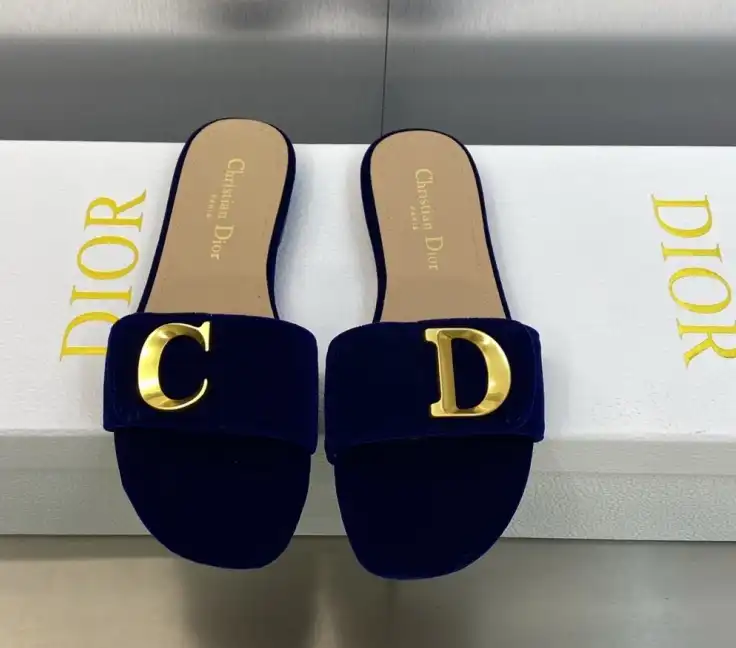 hype Christian Dior Slippers