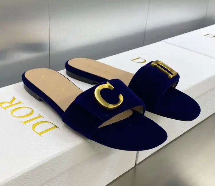 hype Christian Dior Slippers