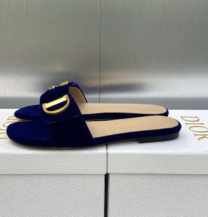 hype Christian Dior Slippers