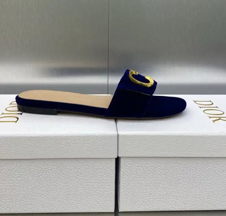 hype Christian Dior Slippers