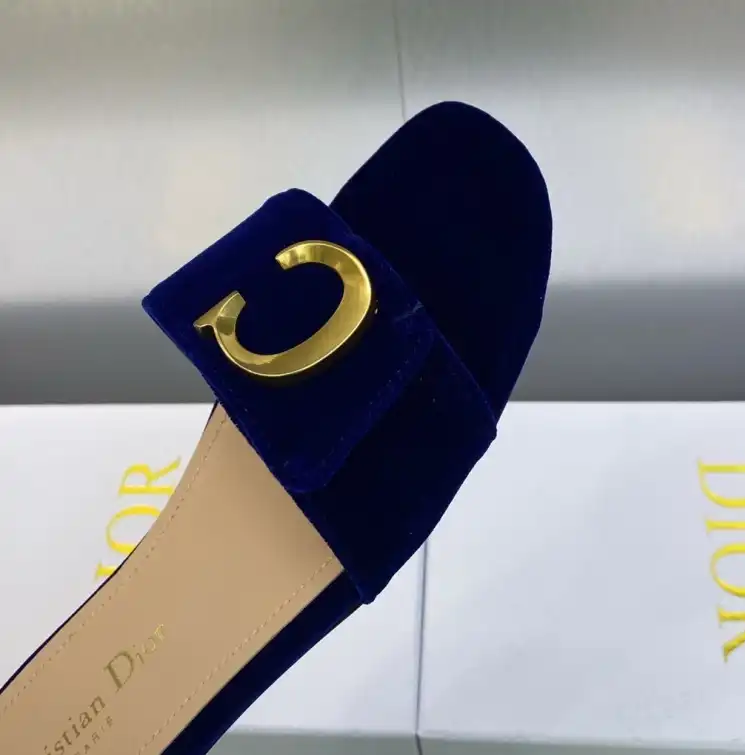 hype Christian Dior Slippers