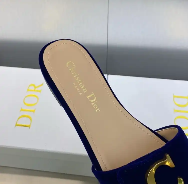 hype Christian Dior Slippers