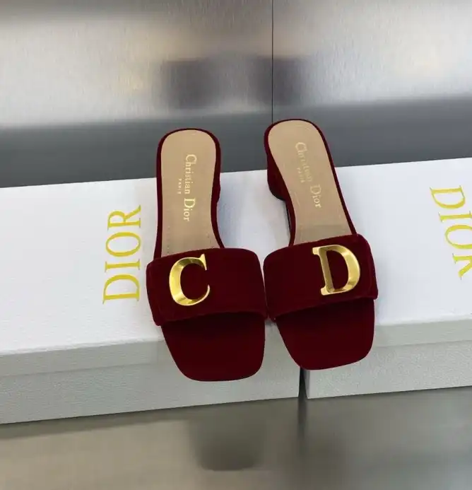 hype Christian Dior Slippers