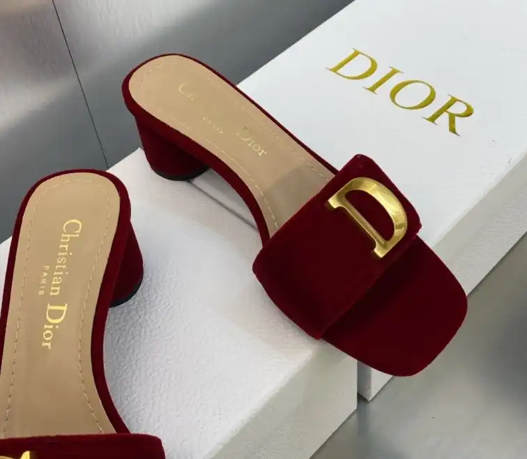 hype Christian Dior Slippers