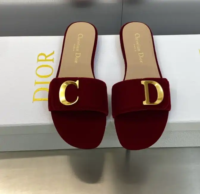 hype Christian Dior Slippers