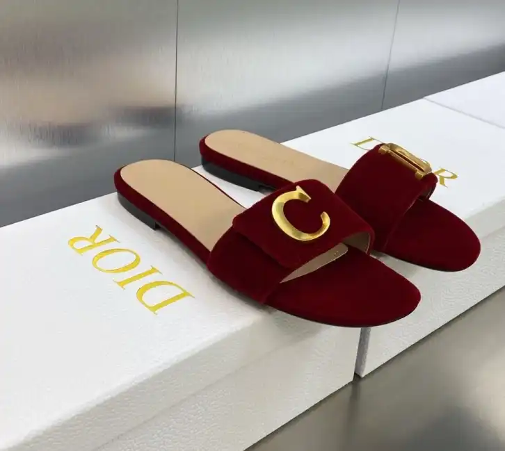 hype Christian Dior Slippers