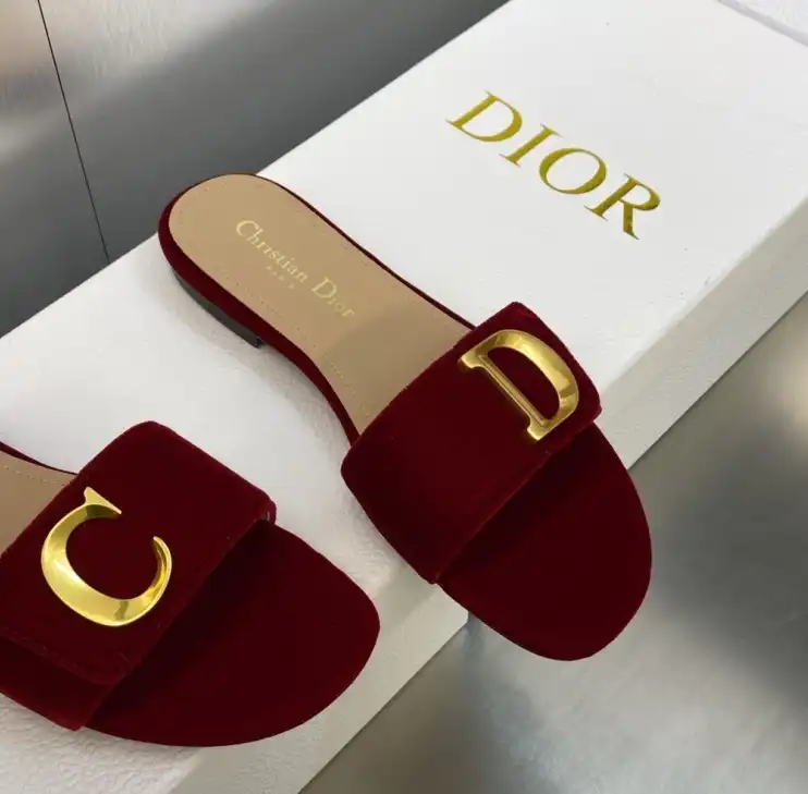 hype Christian Dior Slippers