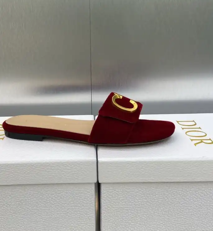 hype Christian Dior Slippers