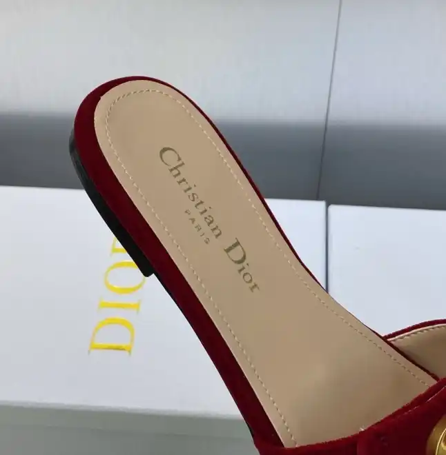 hype Christian Dior Slippers