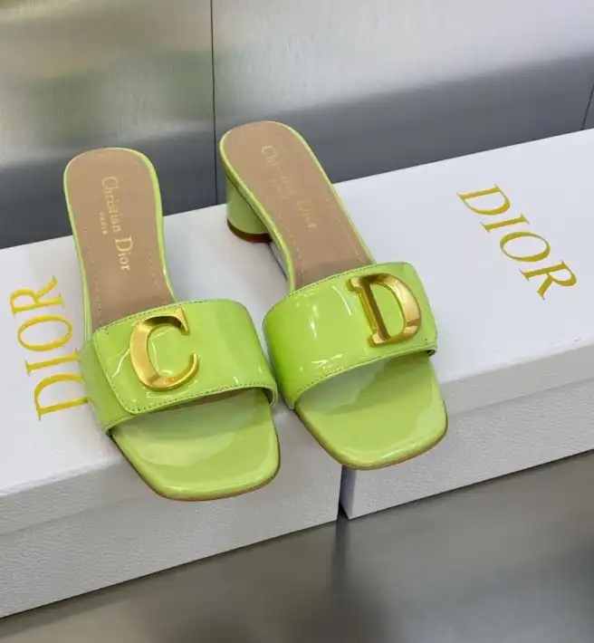 hype Christian Dior Slippers