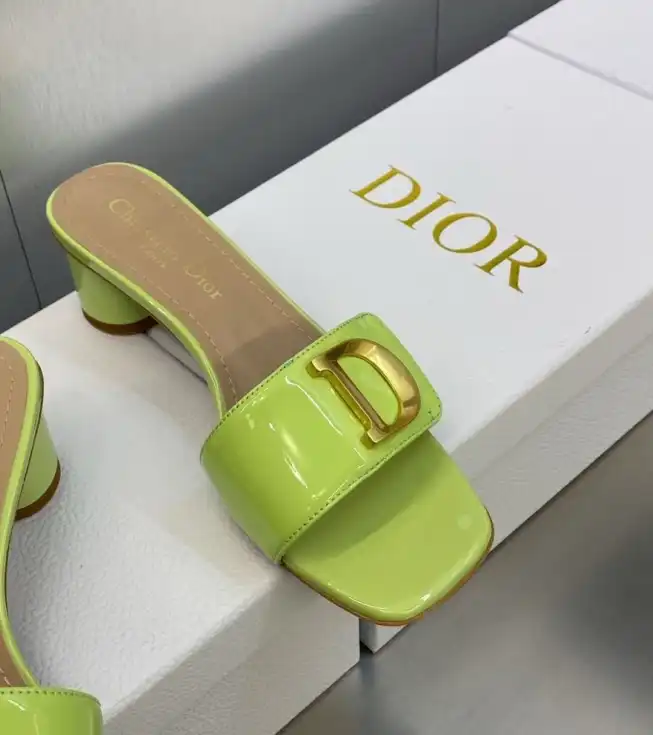 hype Christian Dior Slippers