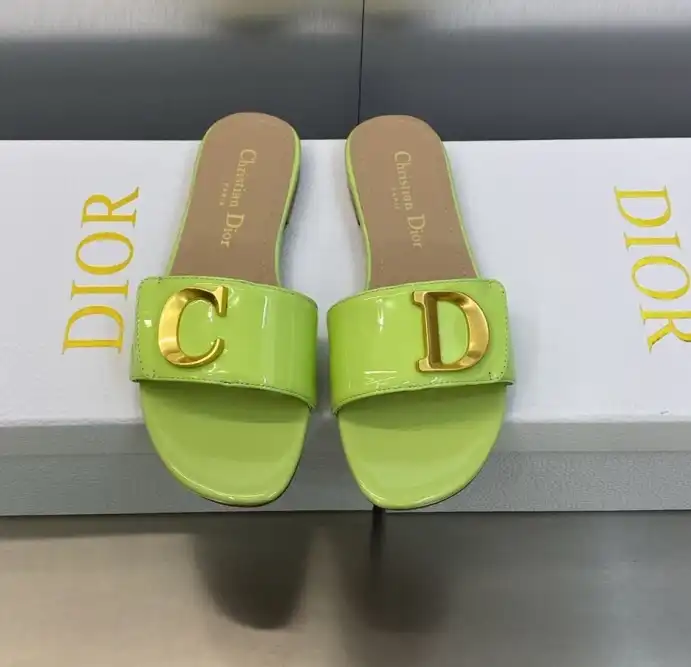 hype Christian Dior Slippers