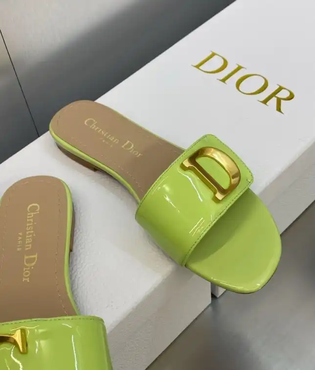 hype Christian Dior Slippers