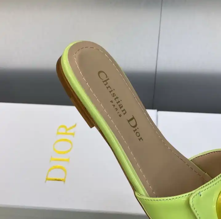 hype Christian Dior Slippers