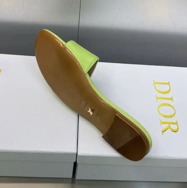 hype Christian Dior Slippers