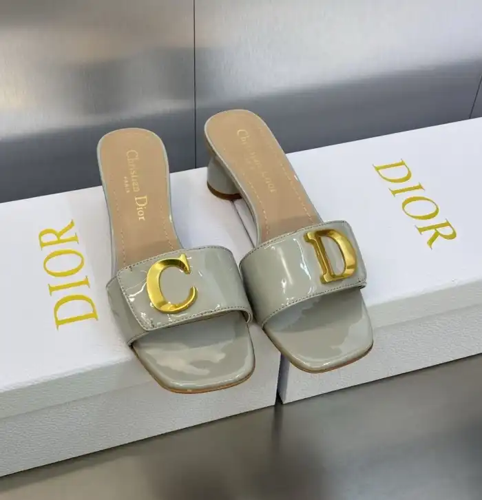 hype Christian Dior Slippers