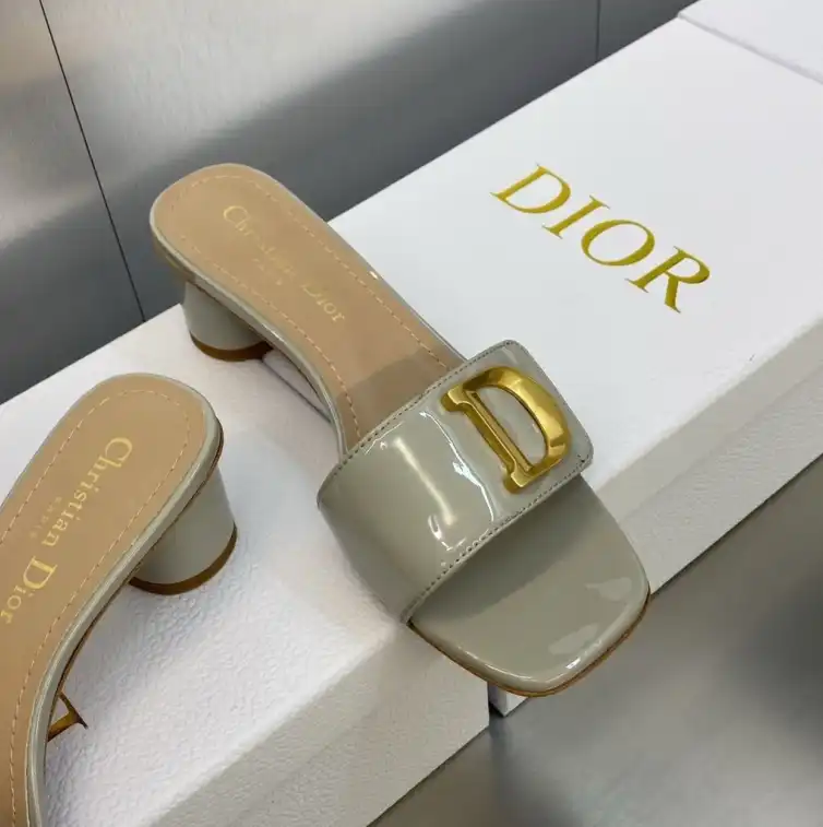 hype Christian Dior Slippers