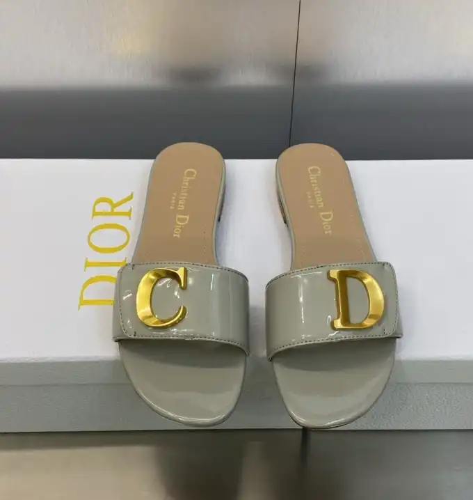 hype Christian Dior Slippers