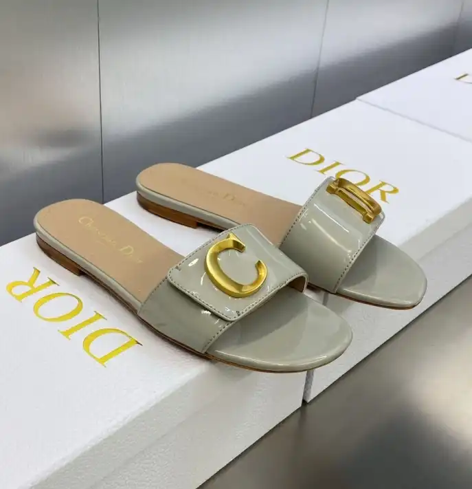 hype Christian Dior Slippers