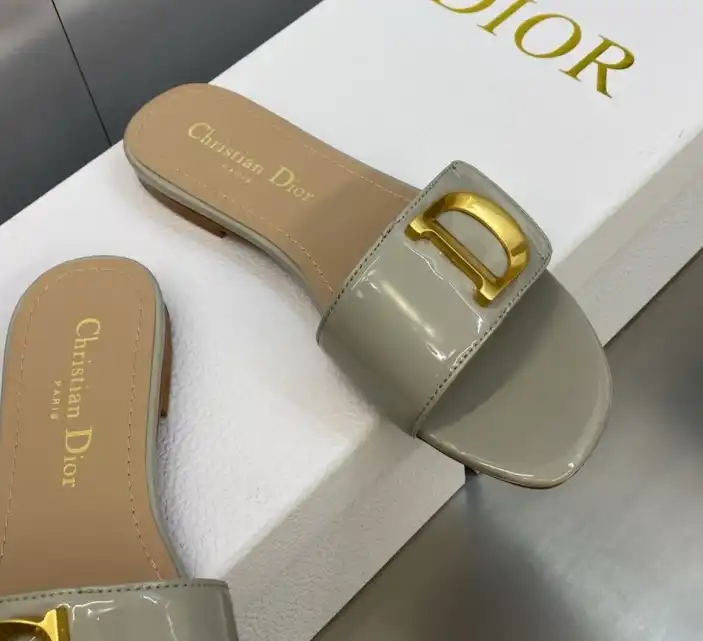 hype Christian Dior Slippers