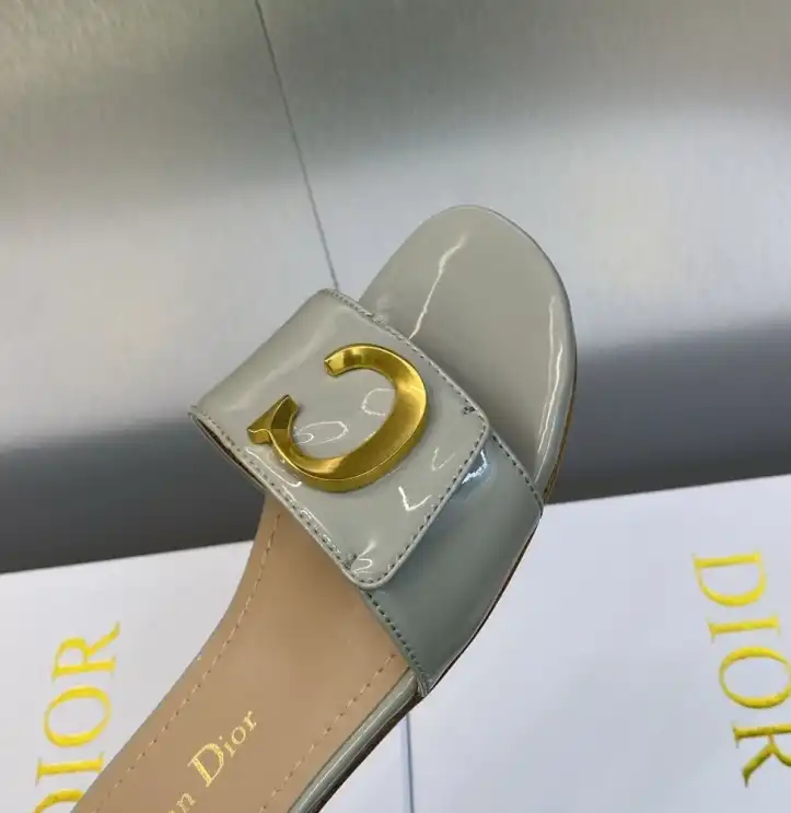 hype Christian Dior Slippers