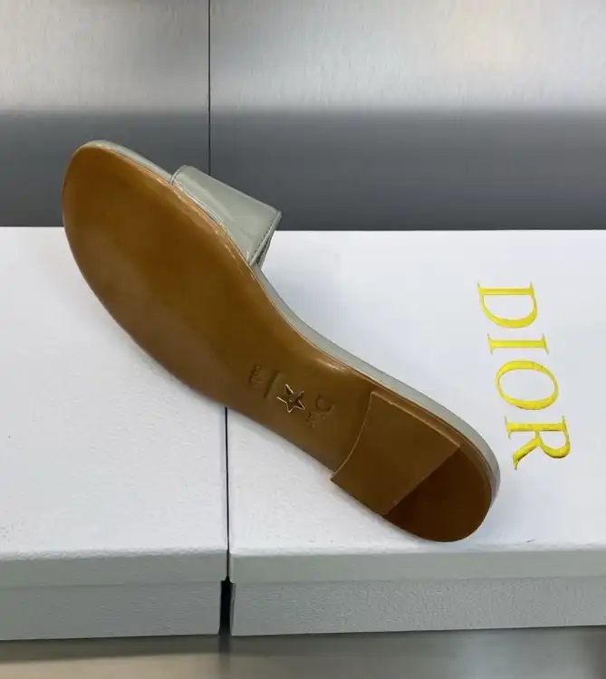 hype Christian Dior Slippers