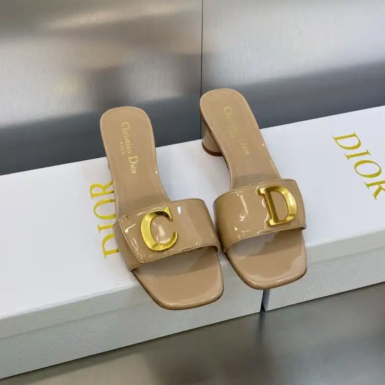 hype Christian Dior Slippers