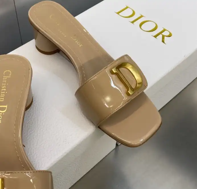 hype Christian Dior Slippers